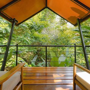 Standard Glamping Tent