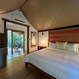 Honeymoon Glamping Tent